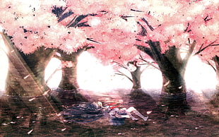 cherry blossom painting, landscape, Chill Out, anime