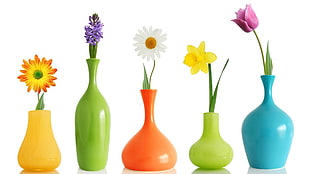 five assorted colors of vases with flowers