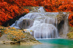 time lapse of waterfalls between brown leaf trees