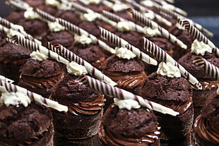 baked chocolate cupcakes, Muffins, Cake, Pastry HD wallpaper