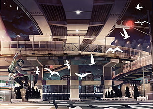black and gray metal frame, city, birds, flying, anime boys HD wallpaper