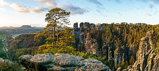 Zhangjie Mountain HD wallpaper