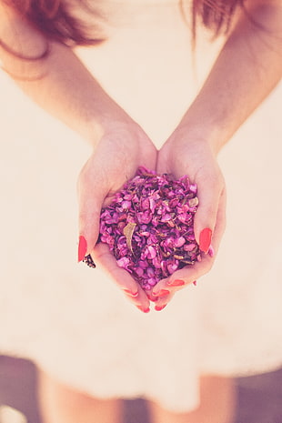 woman holding purple petals