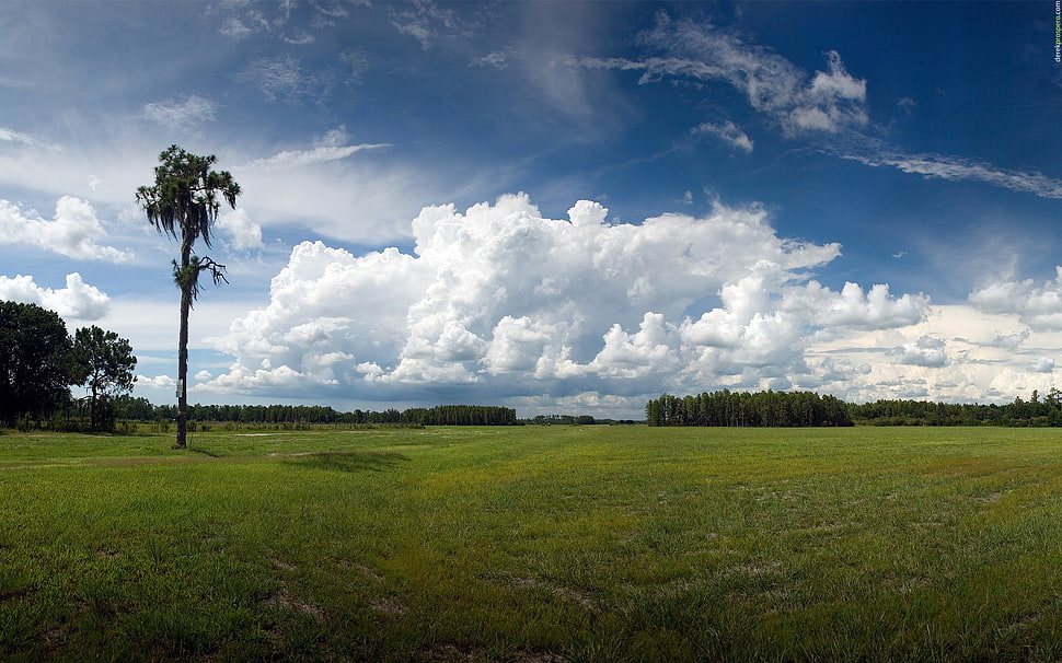 grass field under cloudy sky at daytime, landscape HD wallpaper