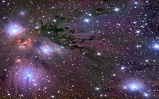 purple and black starry sky HD wallpaper