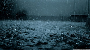 raindrops, rain, water drops, water HD wallpaper