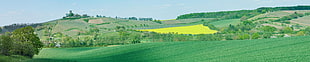 panorama photo of green field grass near green trees, ravensburg, german, Burg, ravensburg, toskana HD wallpaper