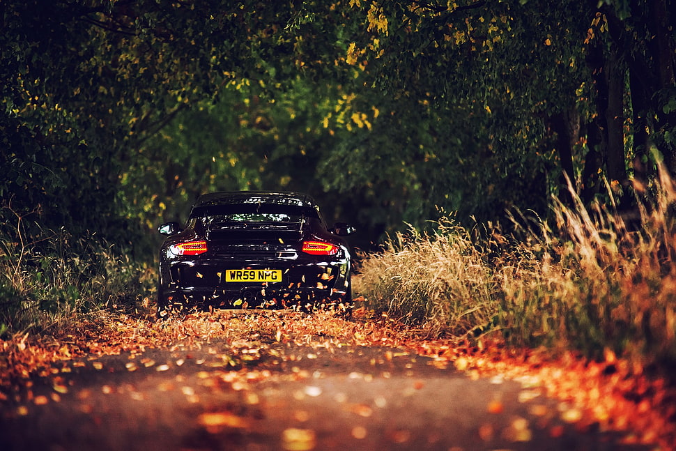 blakc car, car, Porsche GT3 , black cars, fall HD wallpaper