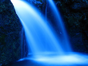 waterfall beside green-leaved plants