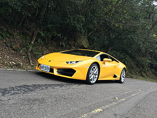 yellow Lamborghini sports coupe on asphalt road near tree during daytime