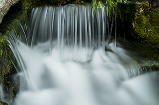 green moss and waterfalls, tonnerre HD wallpaper
