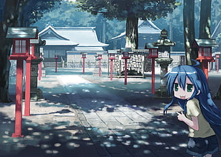blue haired female anime character illustration, Lucky Star, Izumi Konata HD wallpaper