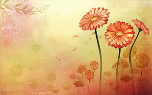 pink daisies illustration HD wallpaper
