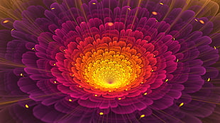 photo of multicolored 3D flower buds illustration