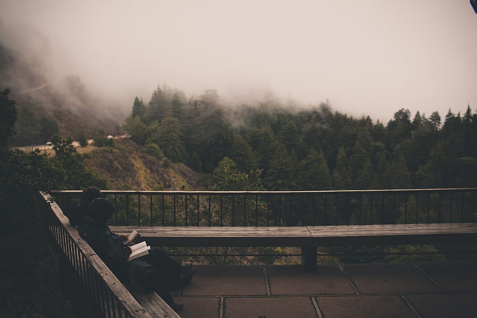 black and brown wooden table, vibes, trees, mist, forest HD wallpaper
