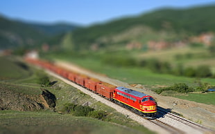 red and yellow train beside green fields