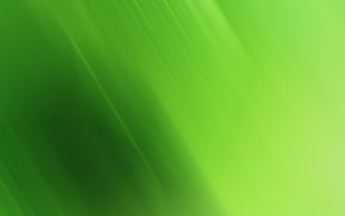 Green,  Matt,  Solid,  Bright HD wallpaper