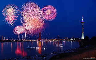 cityscape photo with fireworks, fireworks, lake, Düsseldorf, Germany HD wallpaper