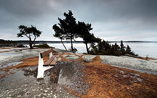 white and brown wooden bench beside the beach with trees