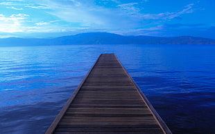 brown wooden dock, sea, pier, water, sky