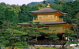 brown and black 3-storey house, Temple of the Golden Pavilion, kinkakuji, Kinkaku-ji, Japan