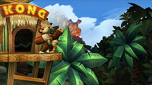 Kong monkey wallpape, Donkey Kong, video games