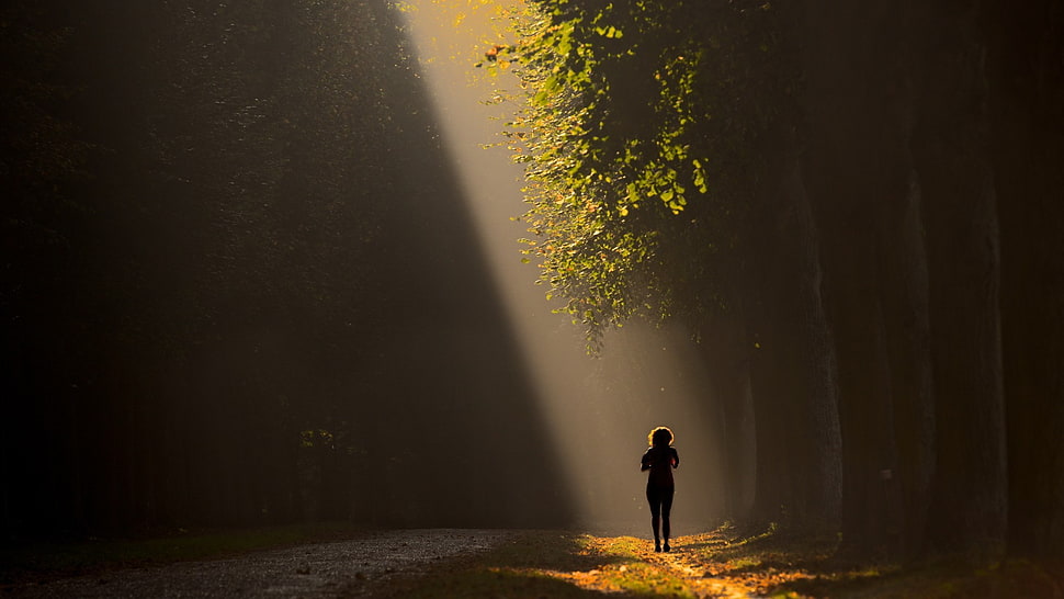 silhouette of woman near trees HD wallpaper