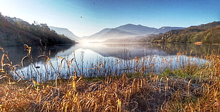landscape photography on grass near lake, llyn padarn HD wallpaper