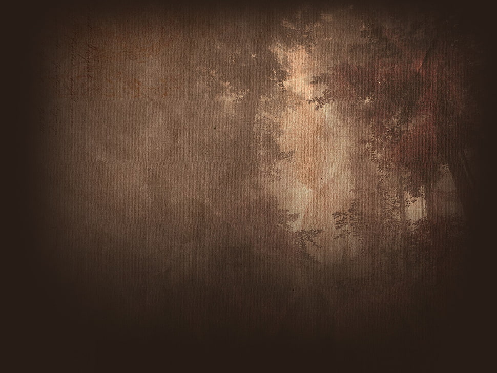brown textile HD wallpaper