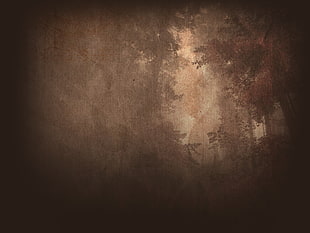brown textile