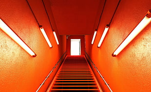 orange painted stairway HD wallpaper