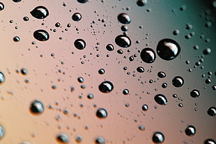 close-up photo of water droplets