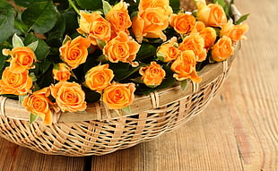 orange flower on basket