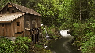 brown wooden house, nature, landscape, river, forest