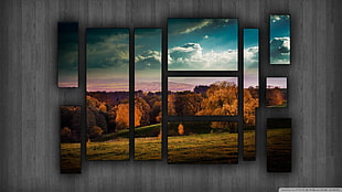multi-panel wall decoration mounted on wall, landscape HD wallpaper