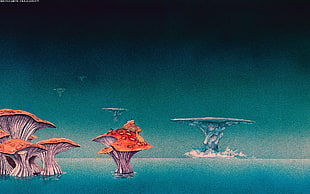 orange and blue mushroom islands digital wallpaper HD wallpaper