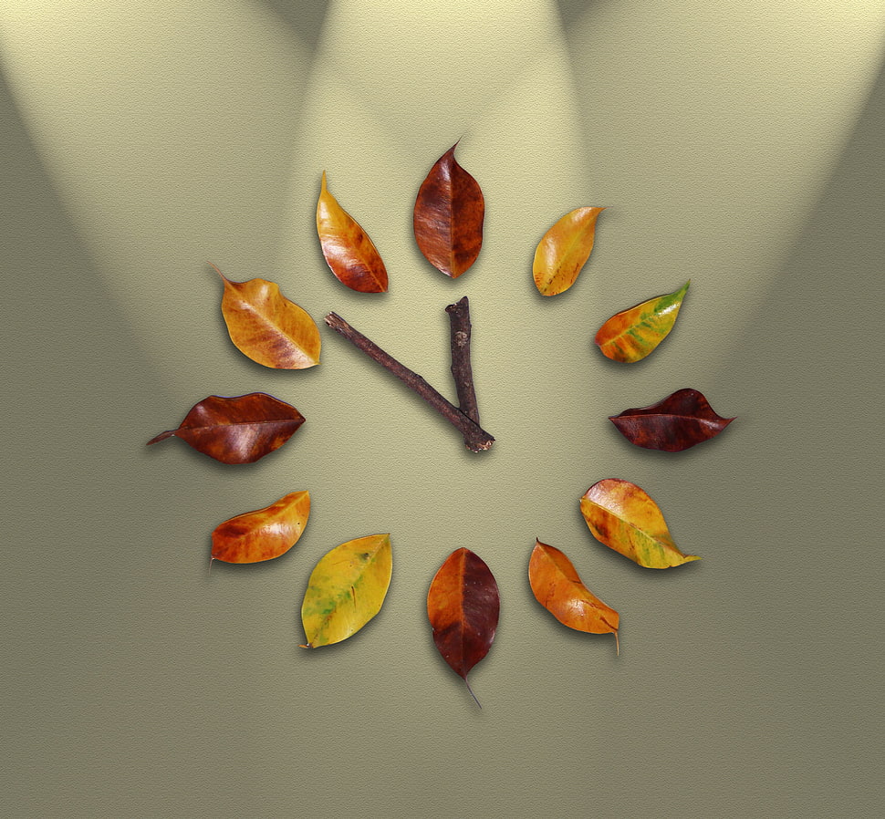 brown leaves clock design HD wallpaper