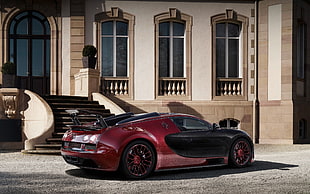 Bugatti,  Veyron,  Side view HD wallpaper