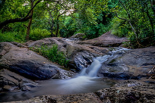 stream in a forest, uluguru mountains