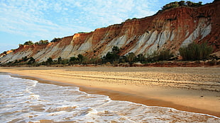 photo of brown sand beach during daytime