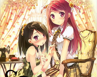 two black and red haired women anime characters