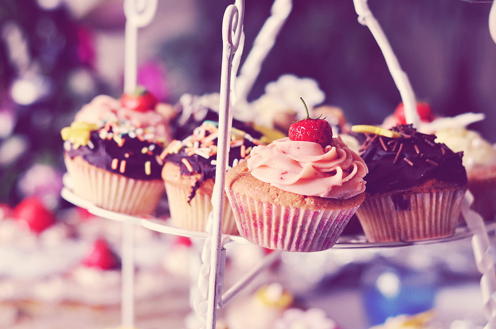 food photography of cupcakes HD wallpaper