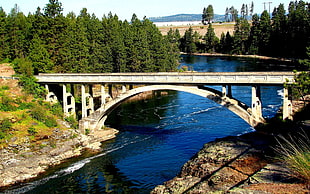 bridge over body of water with trees during daytime