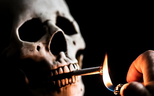 white skull, cigarettes, death, smoking, lighter