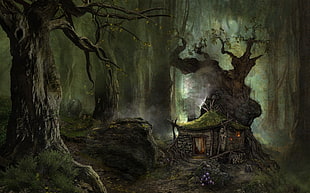illustration of house in forest, digital art, fantasy art, nature, trees HD wallpaper
