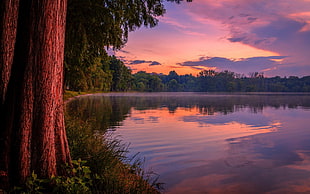 calm body of water surrounded by trees at golden hour