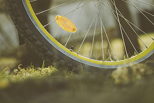 black bicycle tire, Wheel, Bicycle, Spokes