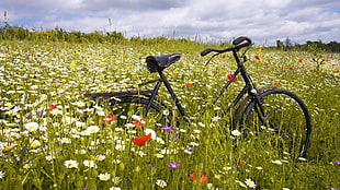 black commuter bicycle on garden under cloudy skies HD wallpaper