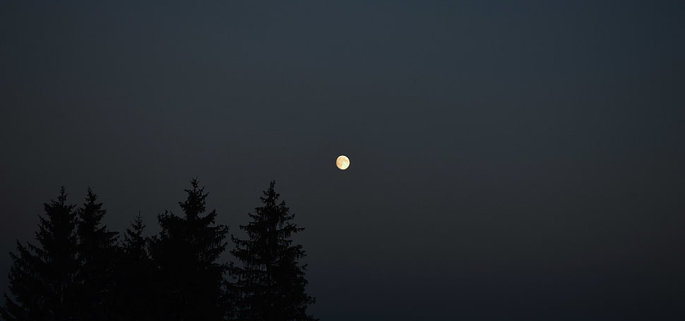full moon, Moon, moonlight, sunset, sky HD wallpaper