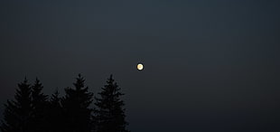 full moon, Moon, moonlight, sunset, sky